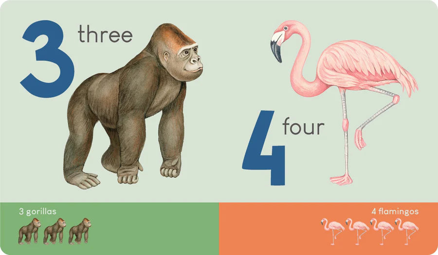 Carry Me Board Book - Animal Numbers