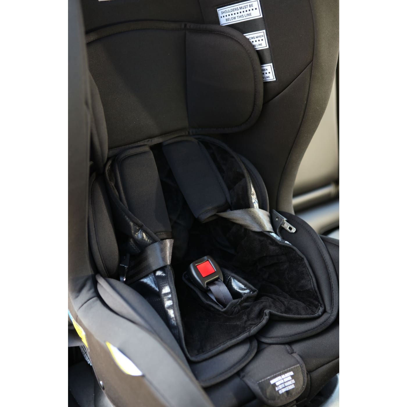 InfaSecure Deluxe Piddle Pad - CAR SEATS - SEAT PROTECTORS/MIRRORS/STORAGE