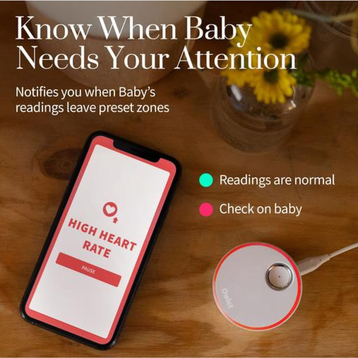 Owlet Smart Sock 3 Baby Monitor - Dusty Rose Sock Set - Dusty Rose - HEALTH &amp; HOME SAFETY - BABY MONITORS